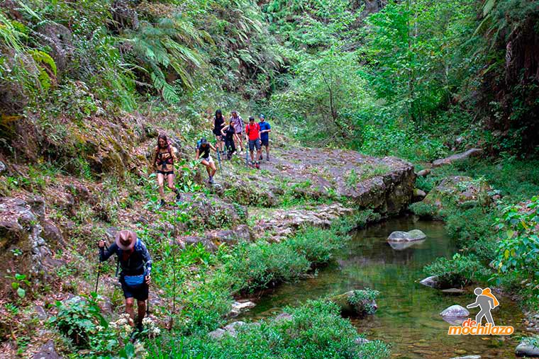 Personas Camiando Bosque Zacapoaxtla De Mochilazo