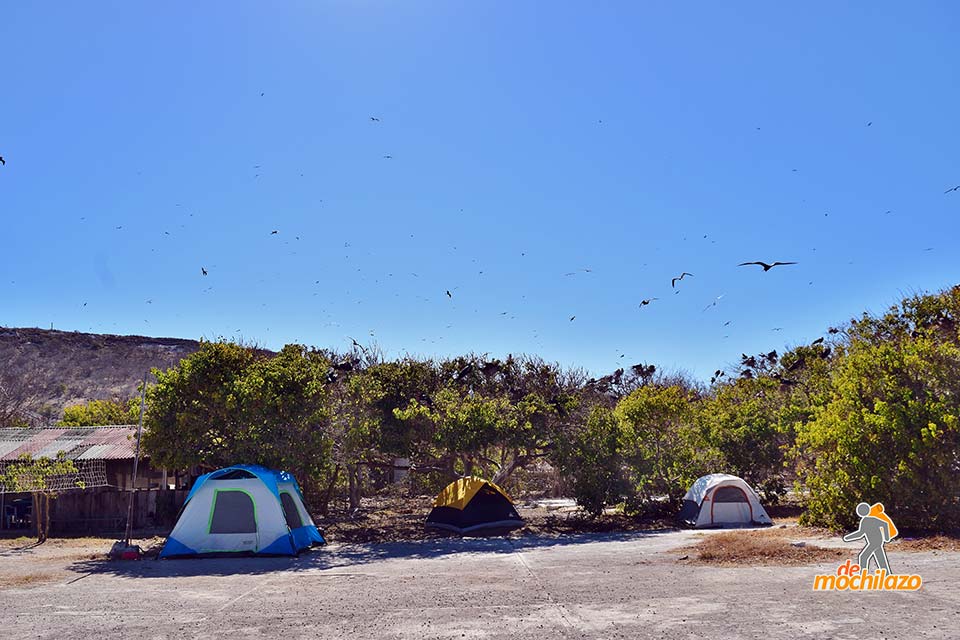 Isla Isabel Campamento De Mochilazo