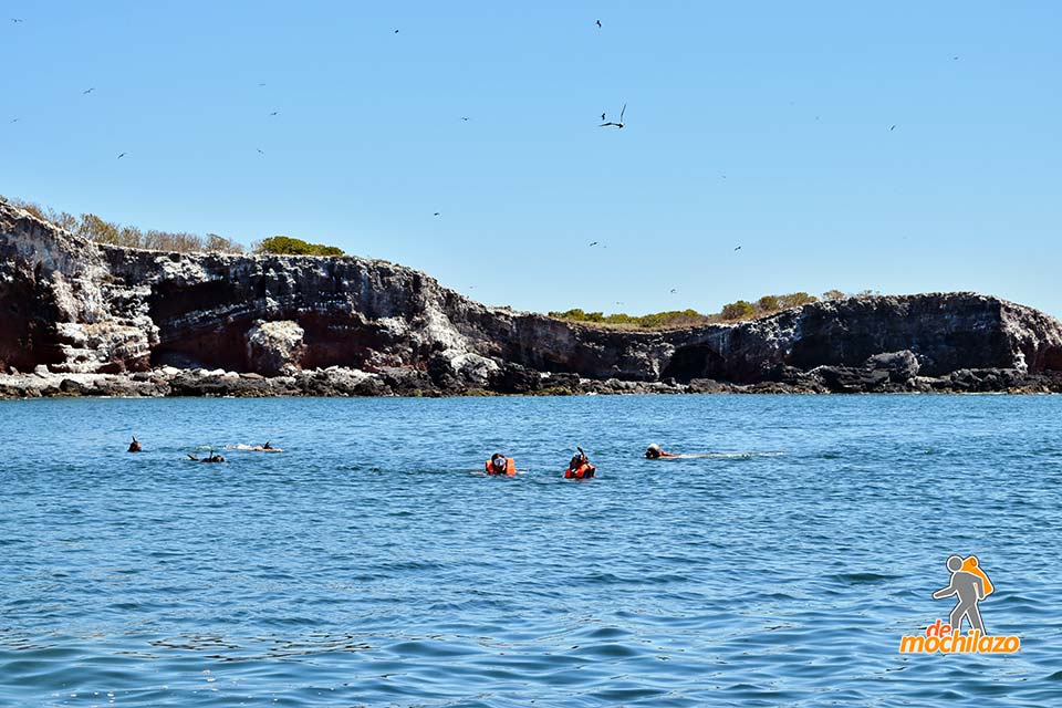 Isla Isabel Personas Nadando En El Mar De Mochilazo